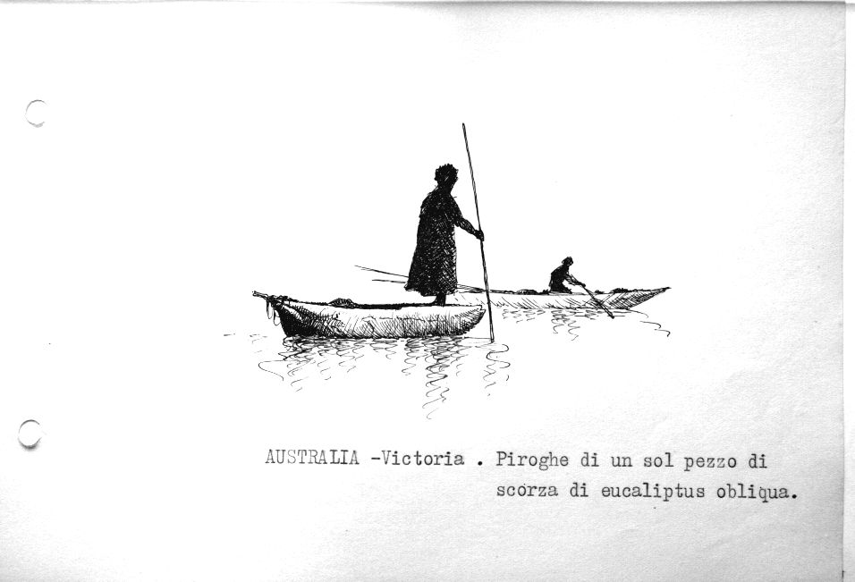 Australia - Victoria - piroghe di un sol pezzo di scorza di eucaliptus obliqua