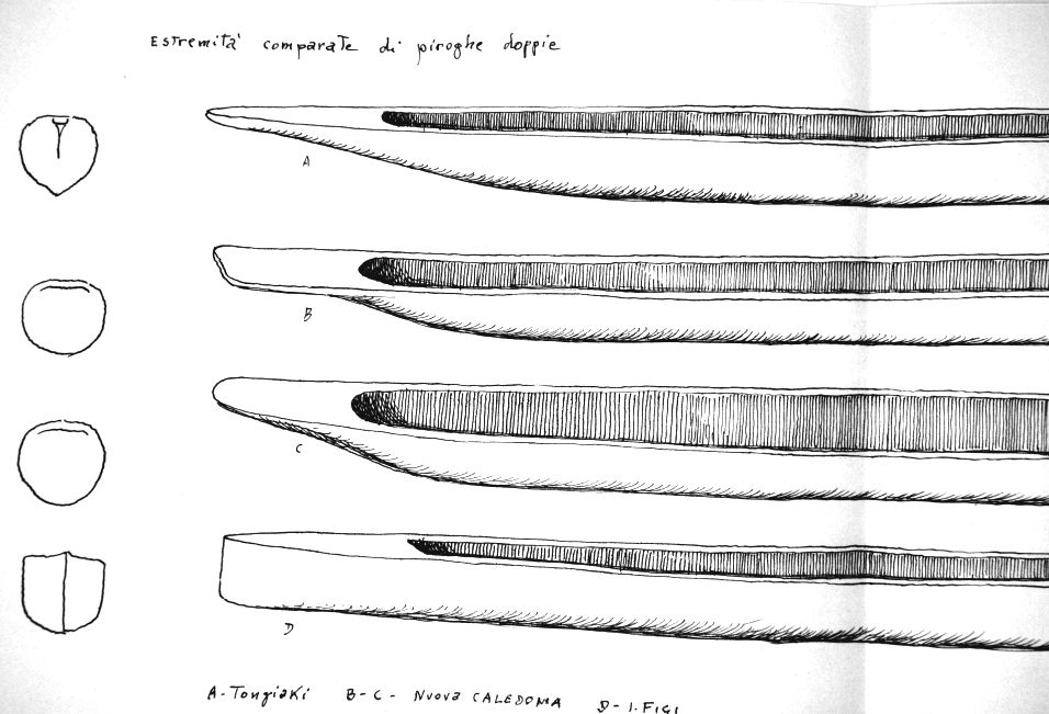 etremita' comparate di piroghe doppie: A - Tongiaki   B C - Nuova Caledonia   D - Figi