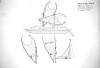  Nuova Guinea - Papuasia - sistemi per alzare e ridurre al vela di un 