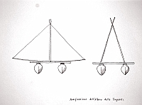  Modificazione dell'albero della Tongiaki