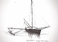  Polinesia - Tonga - piroga molto diffusa