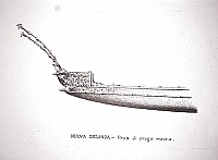  Nuova Zelanda - prua di piroga maori