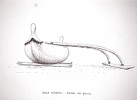  Isole Hawaii - canoa da pesca