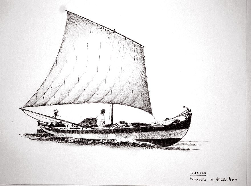 Francia - pinaccia d'Arcachon