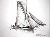 VBEr_0037