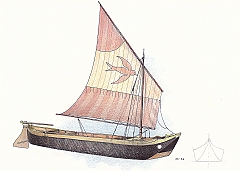 Burcela veneta