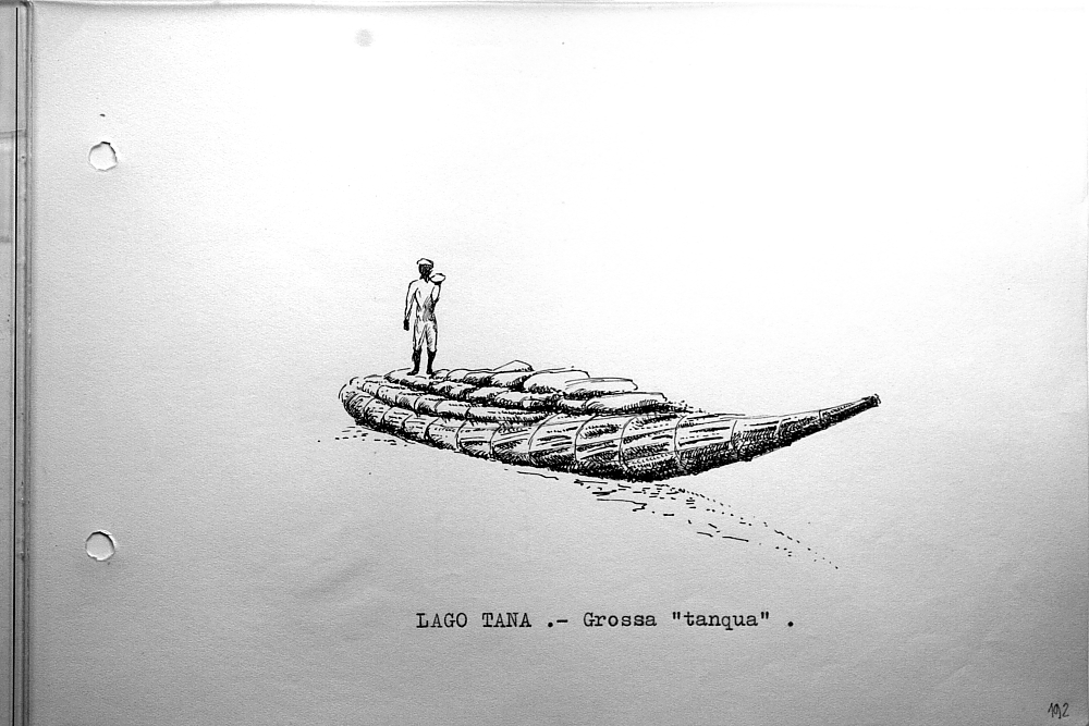 Lago Tana - grossa 