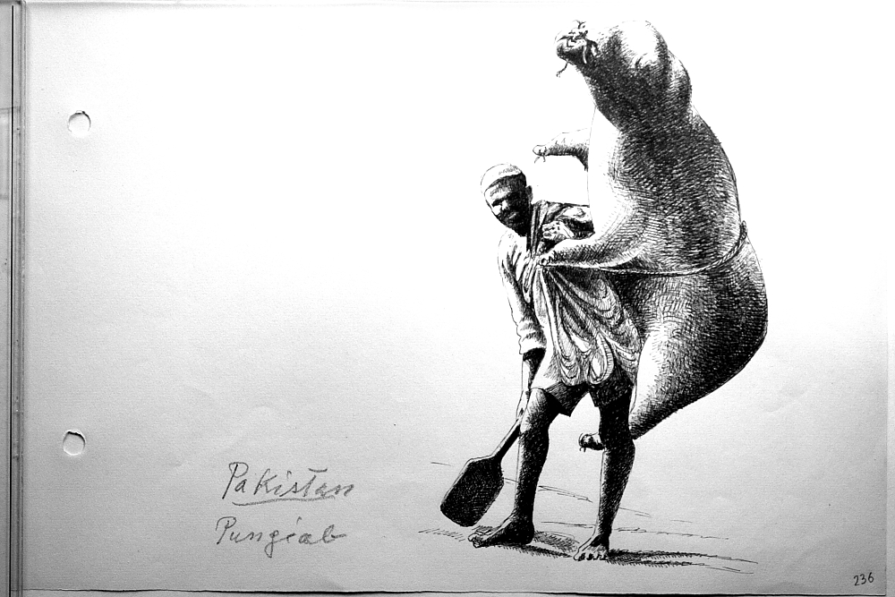 Pakistan - Punjab