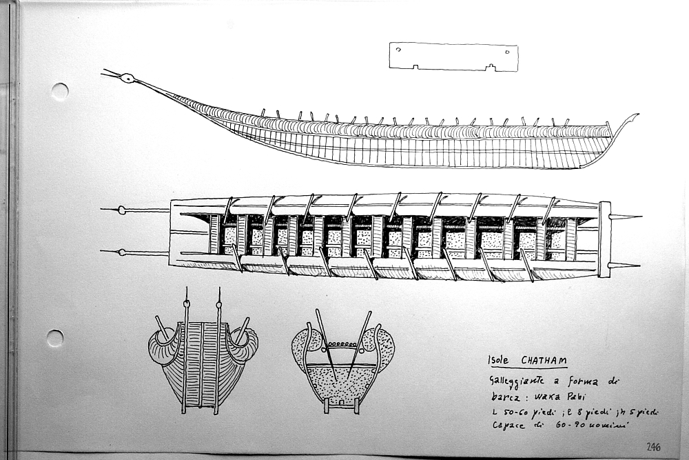 Isole Chatham - waka paui