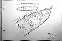 IMG_0191