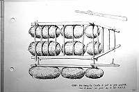 IMG_0245